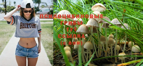таблы Алзамай