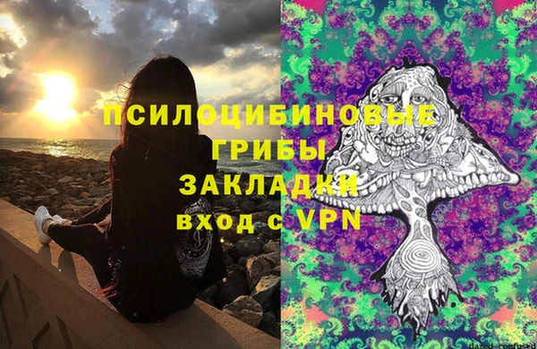 крисы Алексин