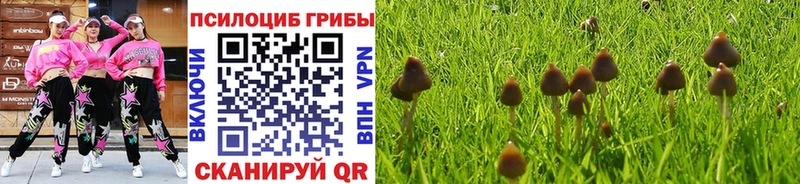 Псилоцибиновые грибы GOLDEN TEACHER Анжеро-Судженск